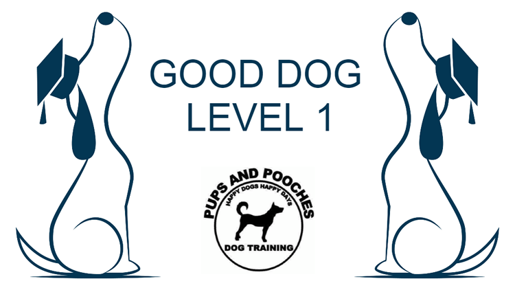 Online Training Course Level 1