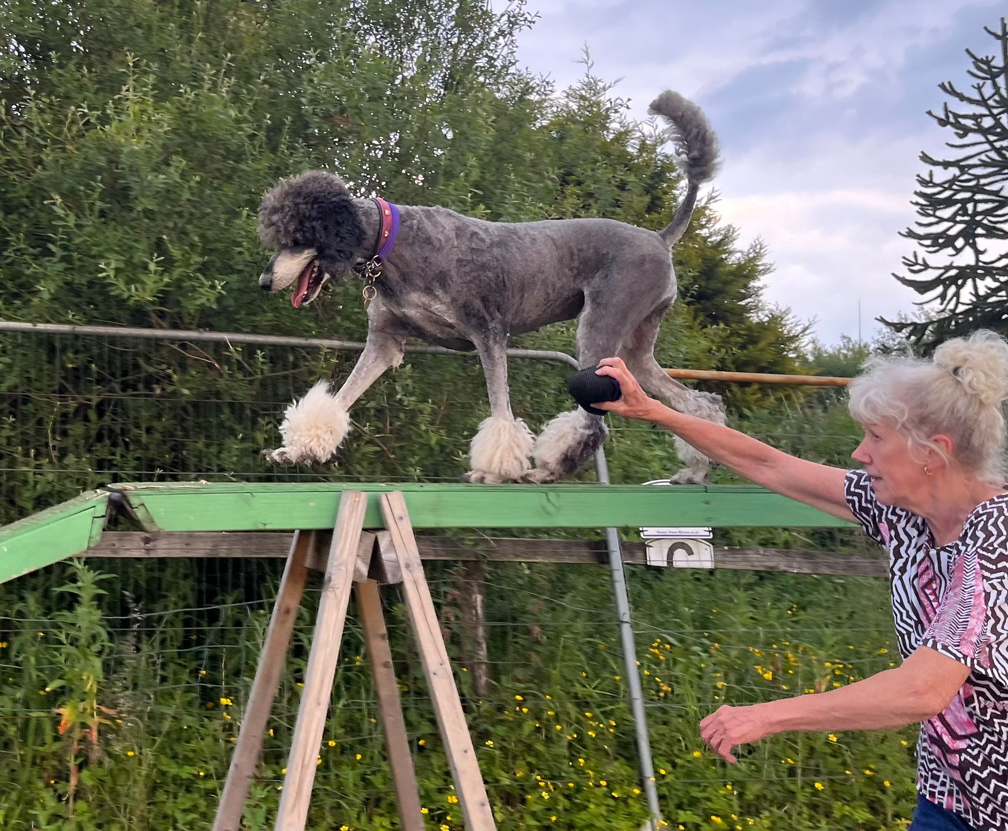 images/agility-june-2024/13.jpg#joomlaImage://local-images/agility-june-2024/13.jpg?width=2048&height=1688