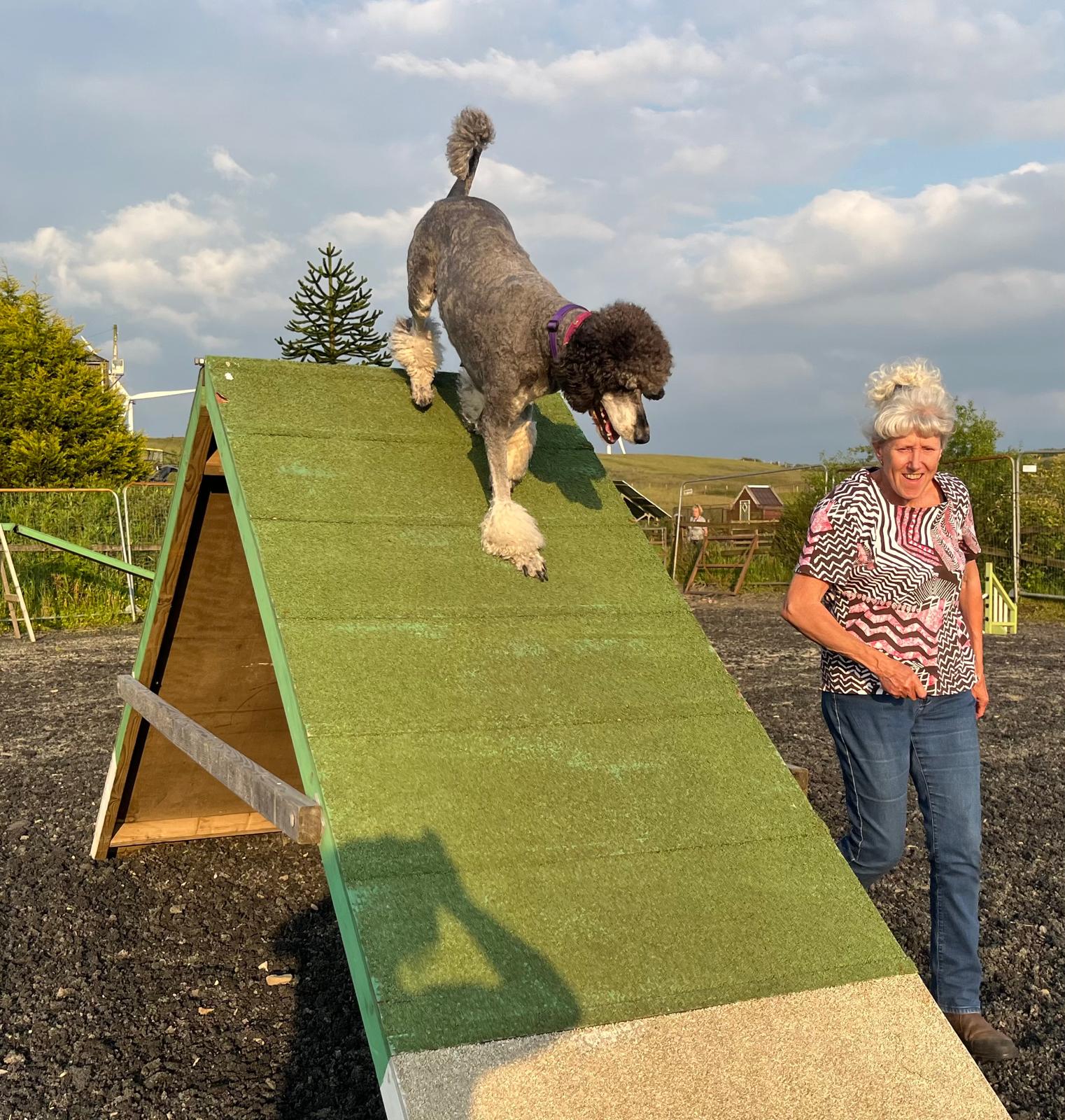 images/agility-june-2024/6.jpg#joomlaImage://local-images/agility-june-2024/6.jpg?width=1522&height=1600